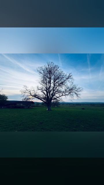 Ян Бруштейн Весна