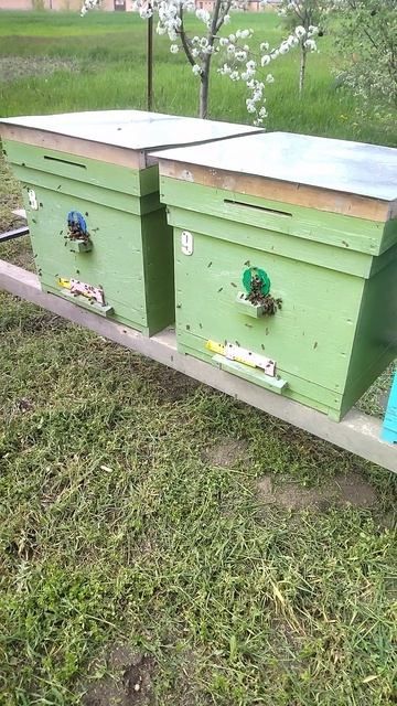 А так хочется тепла