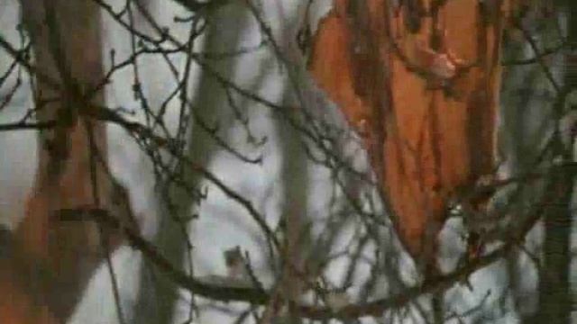 АТЫ БАТЫ ШЛИ СОЛДАТЫ