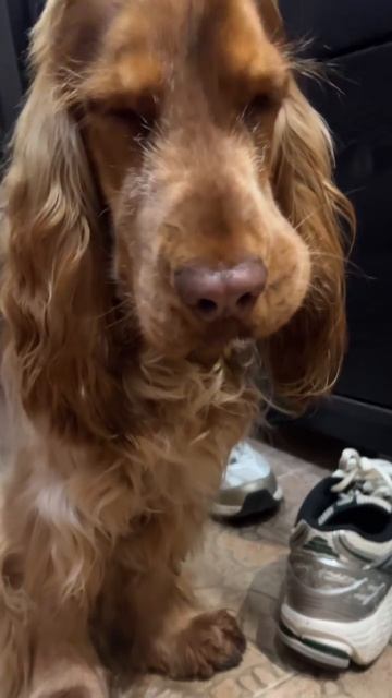 Afe8ec465512d277454ae680142fb4ae