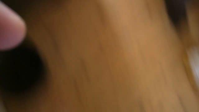 How To Get A Pigeon Out Of The House