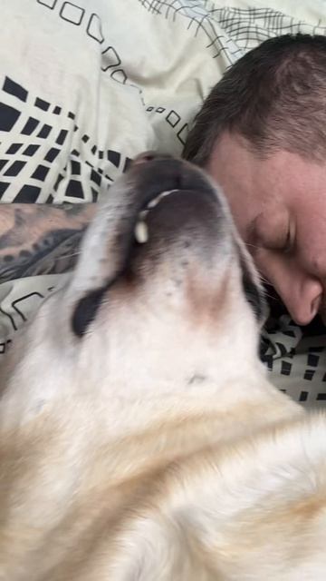 Я чищу зубки Амура 3/4 раза в неделю специальной 👉Зубной  пастой #WW289331
 Паста помогает убрать на