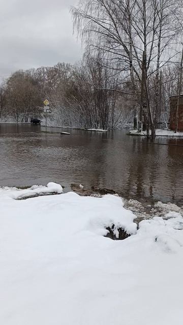 Повторный потоп 😵