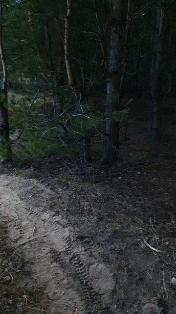 Af92d62315fa6a4be2679dd6facb0bc8