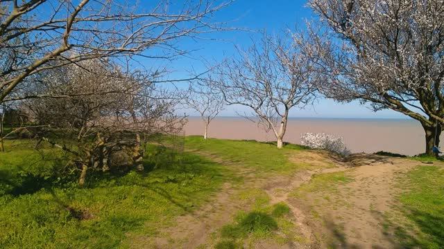 Вид цветущего Ейска!