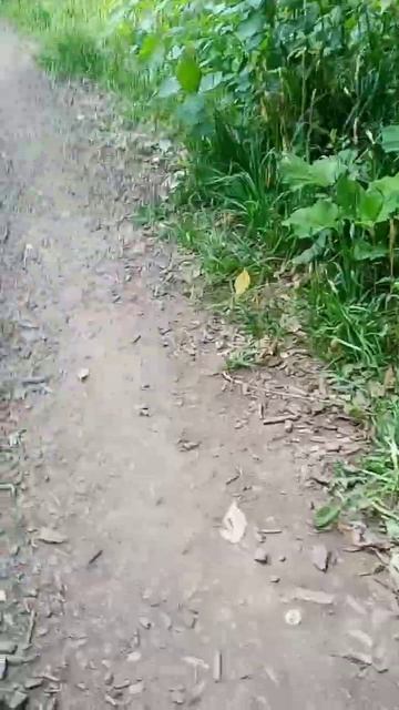 Угнал самокат 