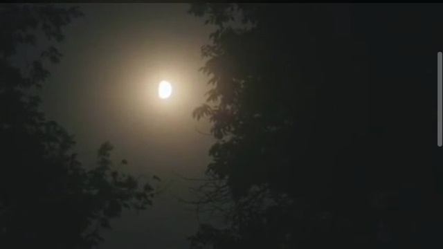 17d27afcc75a1a1d72967124c1062fe5