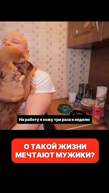 О такой жизни мечтают мужики?