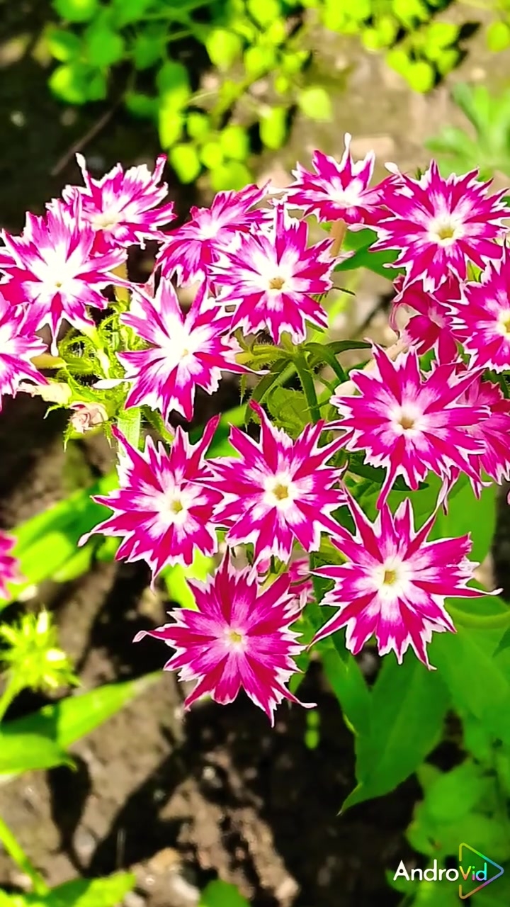 Доброго утра!❤️🙋  С Красной горкой, друзья дорогие! 🙏19-04-2026