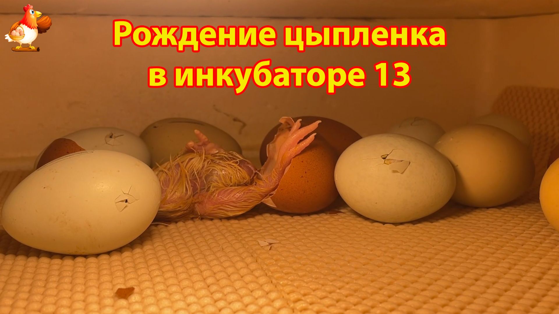 4a585a8427301df8954fbfa74d5cb573