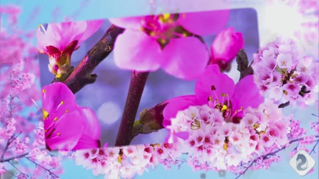 5e9306b24c528754a142c3a983fdd27a