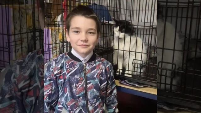 Акция «ДоброЛапки»