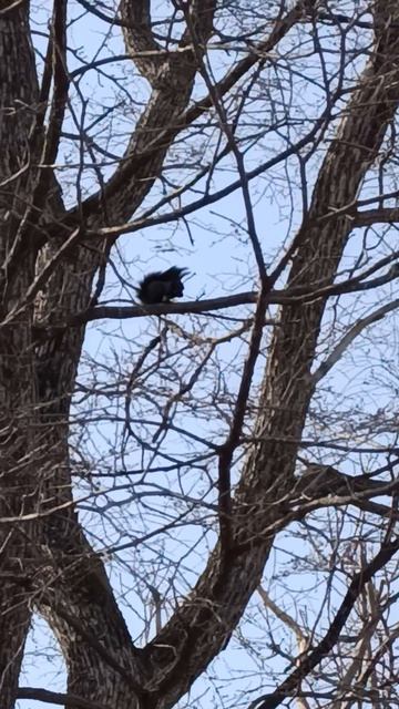 а она все орешки грызет....