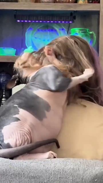 Мечта лысого о волосах.