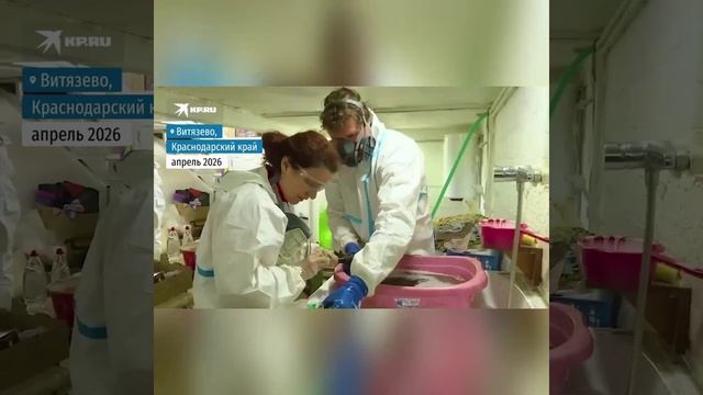 Видео от Департамент Вирусного Контента  ДВК