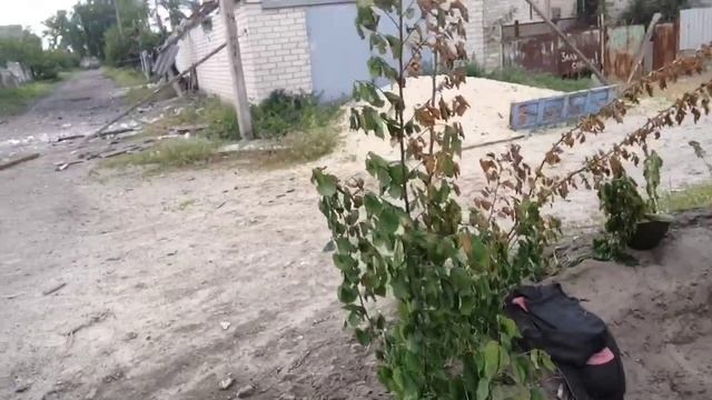 97a8e66d8873d88e57daab66e3ef4c46