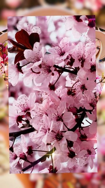 Доброе Утро!