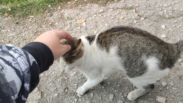 Один из дней города Евпатории  29 сентября 2021 г  Крым ХАН БАТОН XAH 6ATOH  VID_20210929_151852