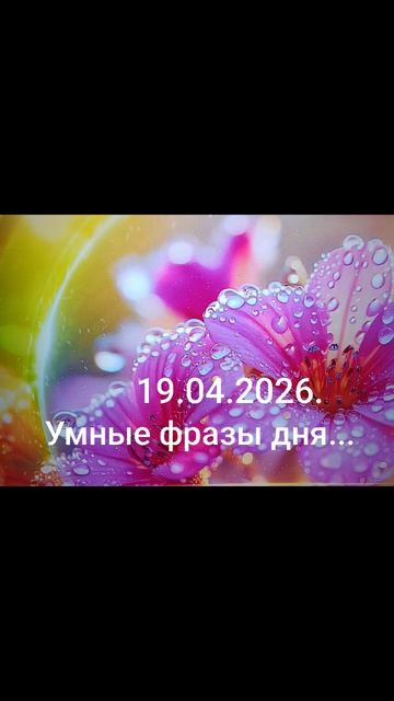 Девиз дня!✨🌈☀️19.04.2026.Выбирай фразы!🍀Управляй судьбой!Откройся позитиву!Иди к цели!#мысли#душа