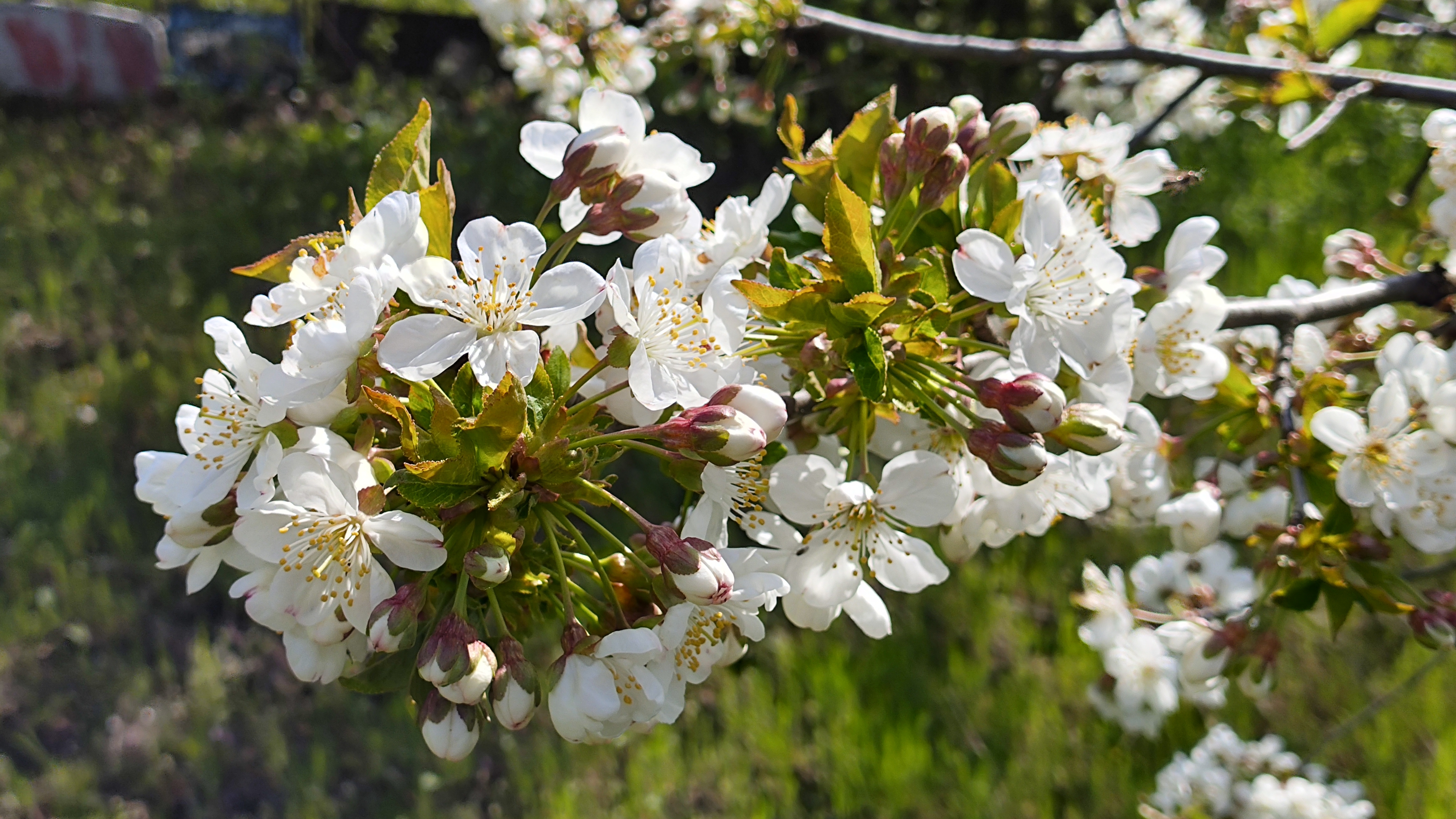 ВЛОГ. Уборка детской. Антижир для плиты. Дача. Покупки продуктов и цены