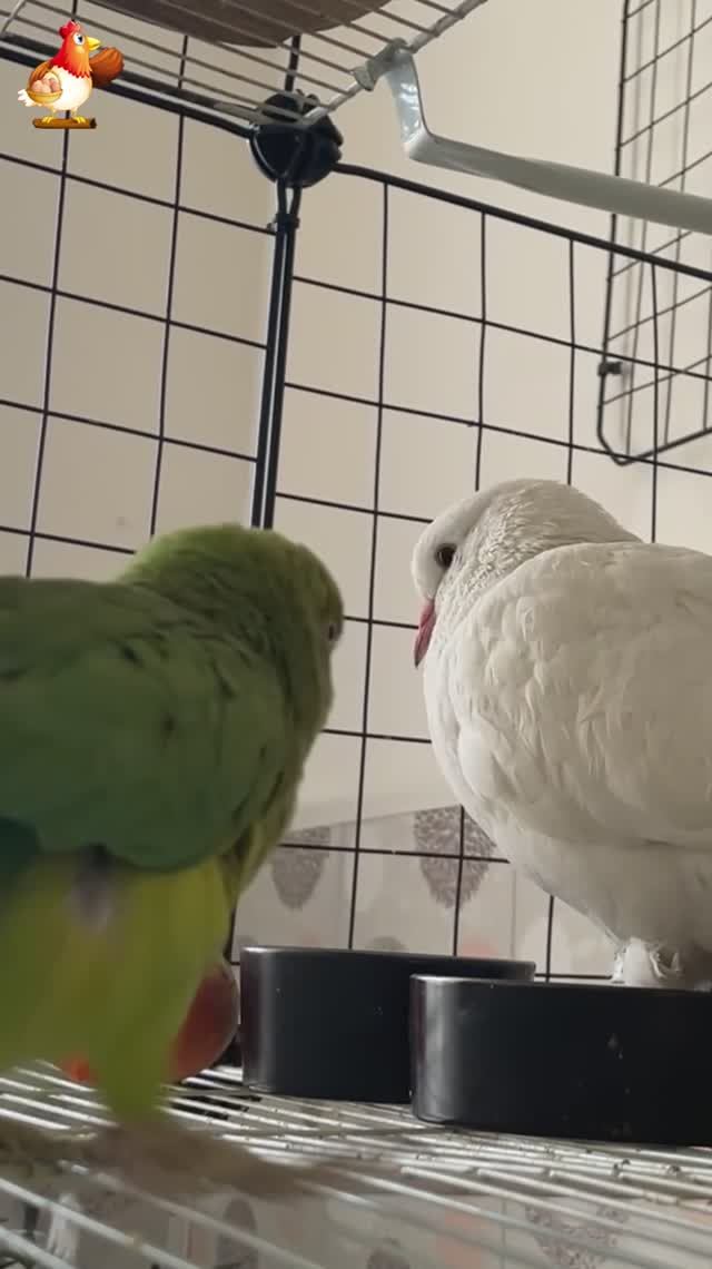 A54a711cd1e584c8b3b4a3a7629af9c2