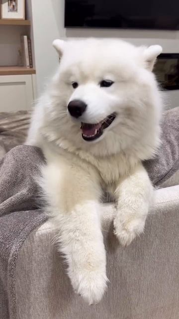 Доброго утра вам желаю