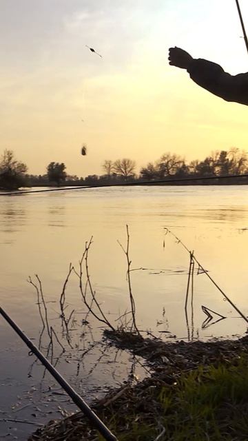 Cb6f1b32f465080b8f0a810e20680f94