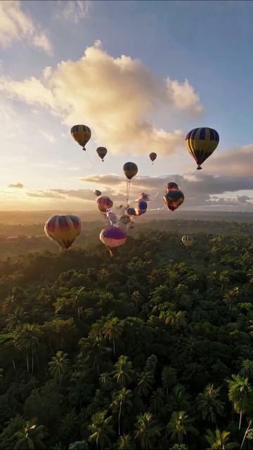 Красота воздушных шаров над тропиками #воздушныешары #пейзажи #приключения