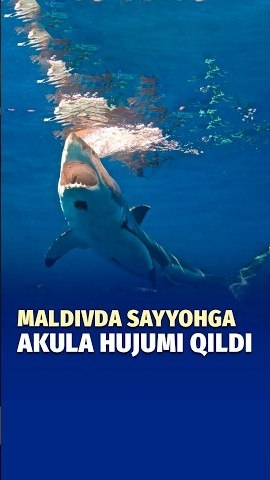 Dd86ac677968dbe71e658972f90b1dbe