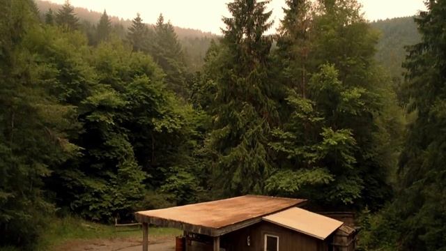 97a89355e821924788b3db8af43dee46