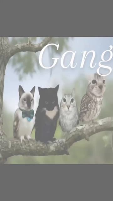 артикул в описании 👇🏻