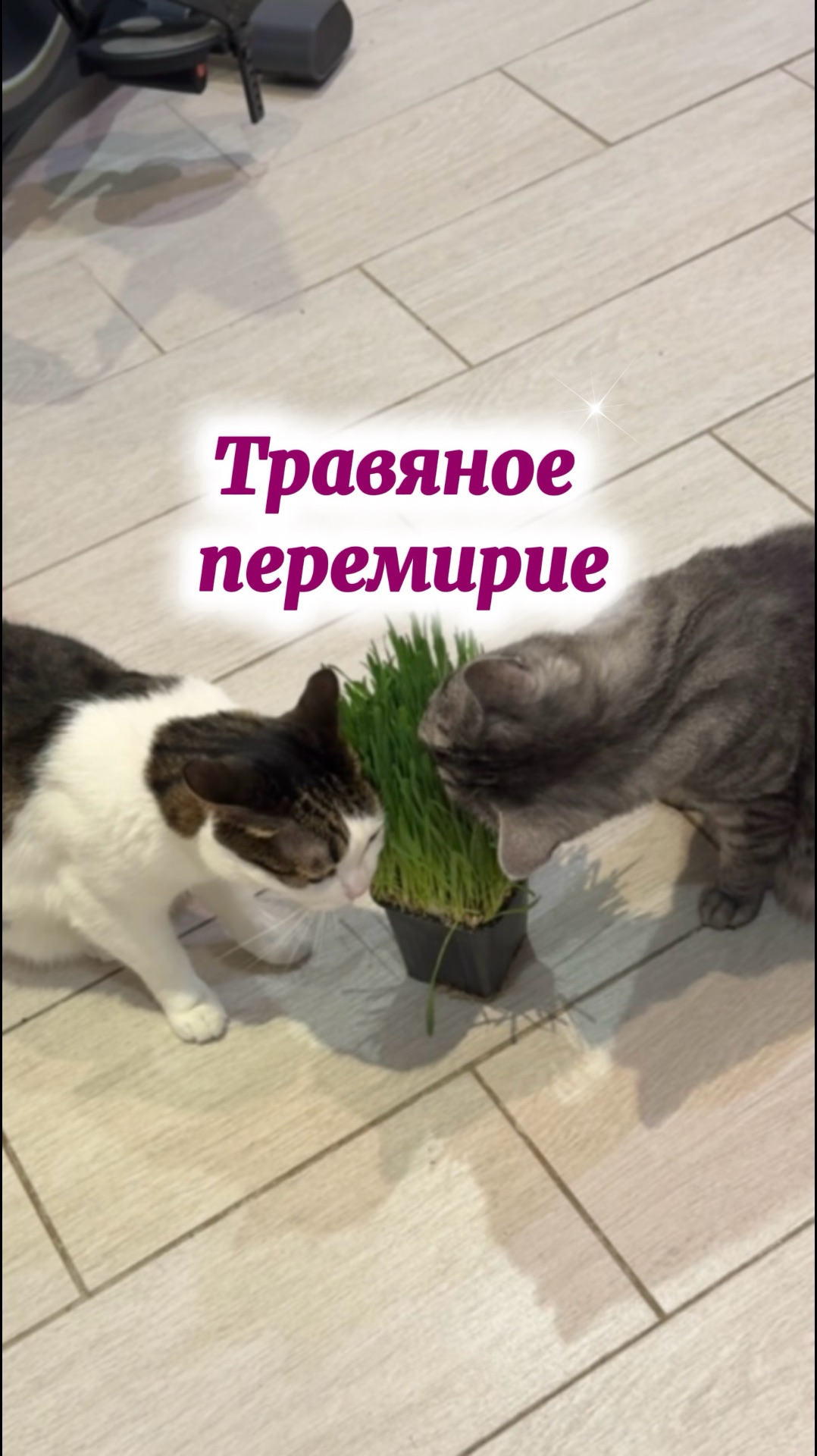 92a28f65c1278d2e2b72c6e0d6362f7d