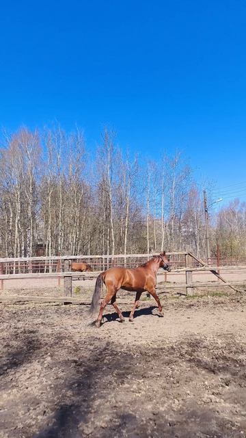 Оксана Новикова и Эмбер Грейс Кас, яркий весенний выходной.