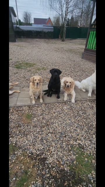 Практически  групповое занятие