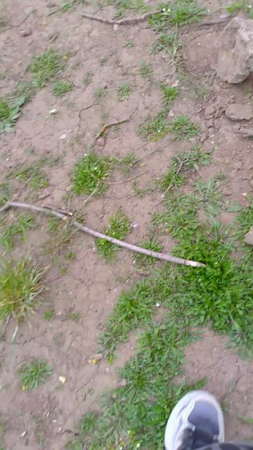 Minecraft реальная жизнь 4 серия пещеры?