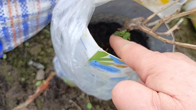 17-18.04.26. Начинаем сезон шашлыков у себя на даче.