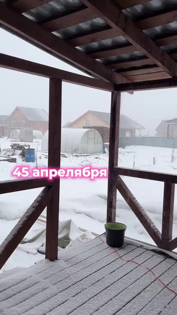 Шел 256 день зимы..
