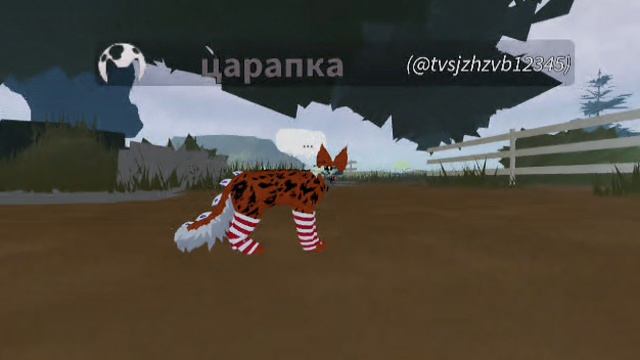 я в котах воителях