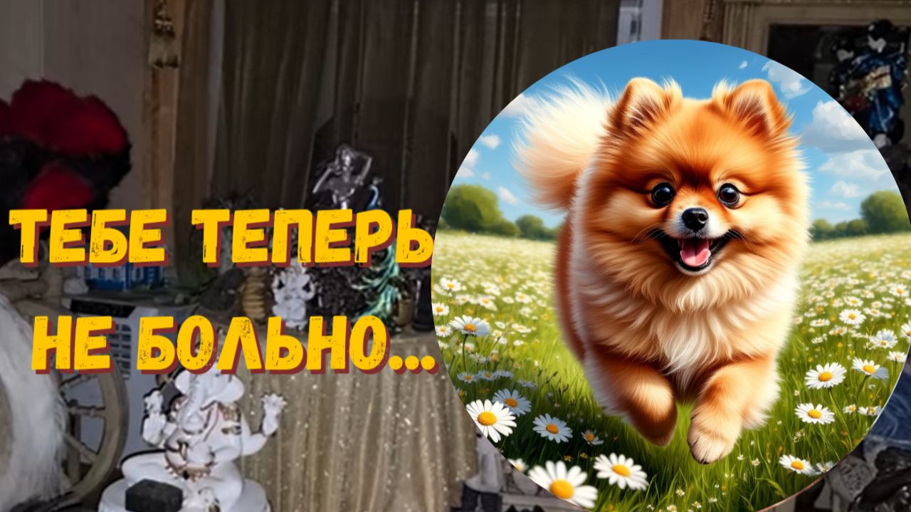 ПУСЁНОК УШЁЛ В ВЕЧНОСТЬ...