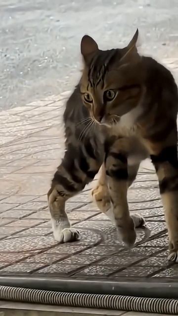 Слово за слово