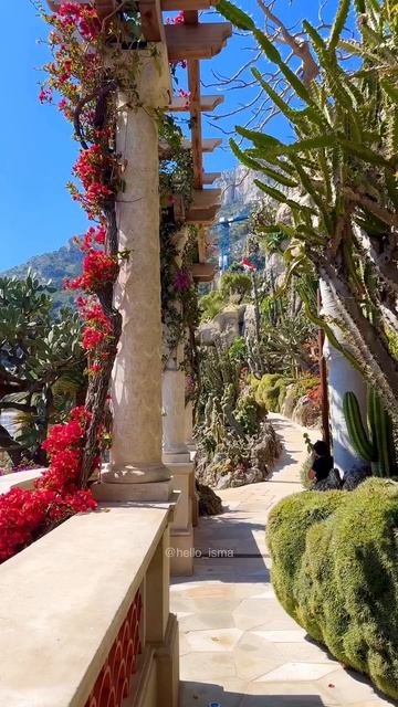 Монако 🇲🇨