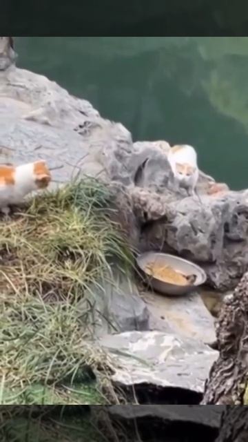 Кажется что-то пошло не по плану