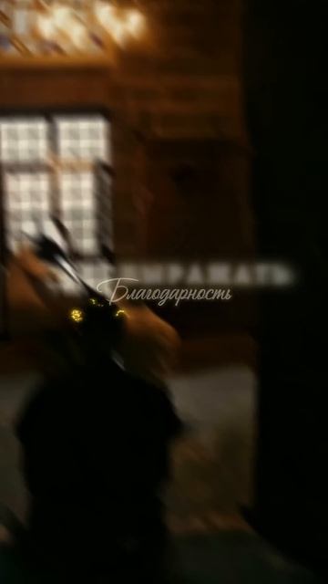 450a3352b4aaf1d8a4704ee96b33d56e