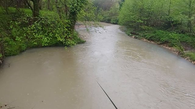 река Ацкуара Абхазия пробуем рыбачить сегодня 19 апреля 2026г рифычпроверит апсны