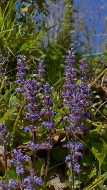 Терренкур Мацеста