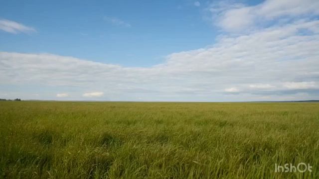 **Я ДОЧЬ ВЕТРОВ**.                 Галина Казначеева