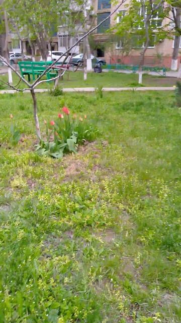 Minecraft в реальной жизнь 2 серия бенчик нашёлся