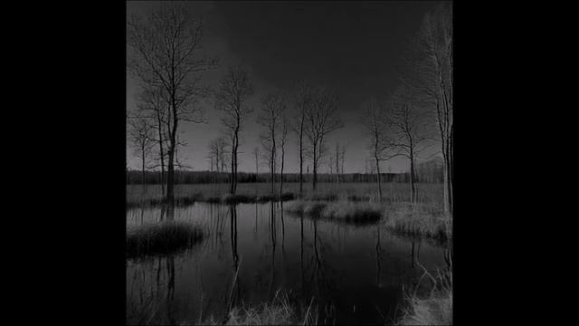 6dbb2d3c71a37b547a5f5bb5763ae705