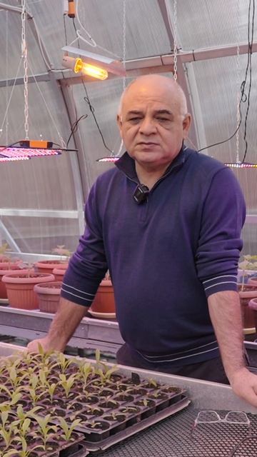 О посеве КАПУСТЫ в АПРЕЛЕ 🌱🥬 Вопросы агроному: часть 2