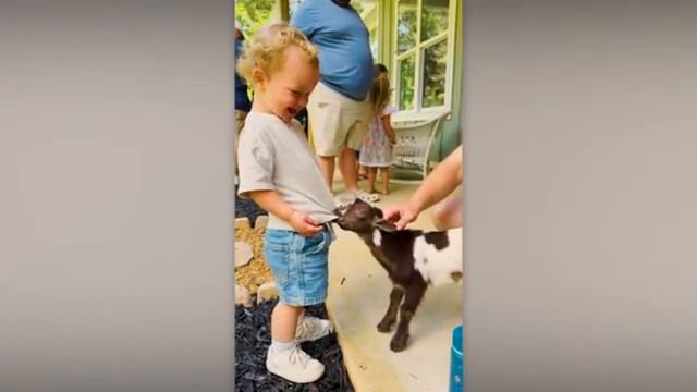 Животные приколы и не только😅